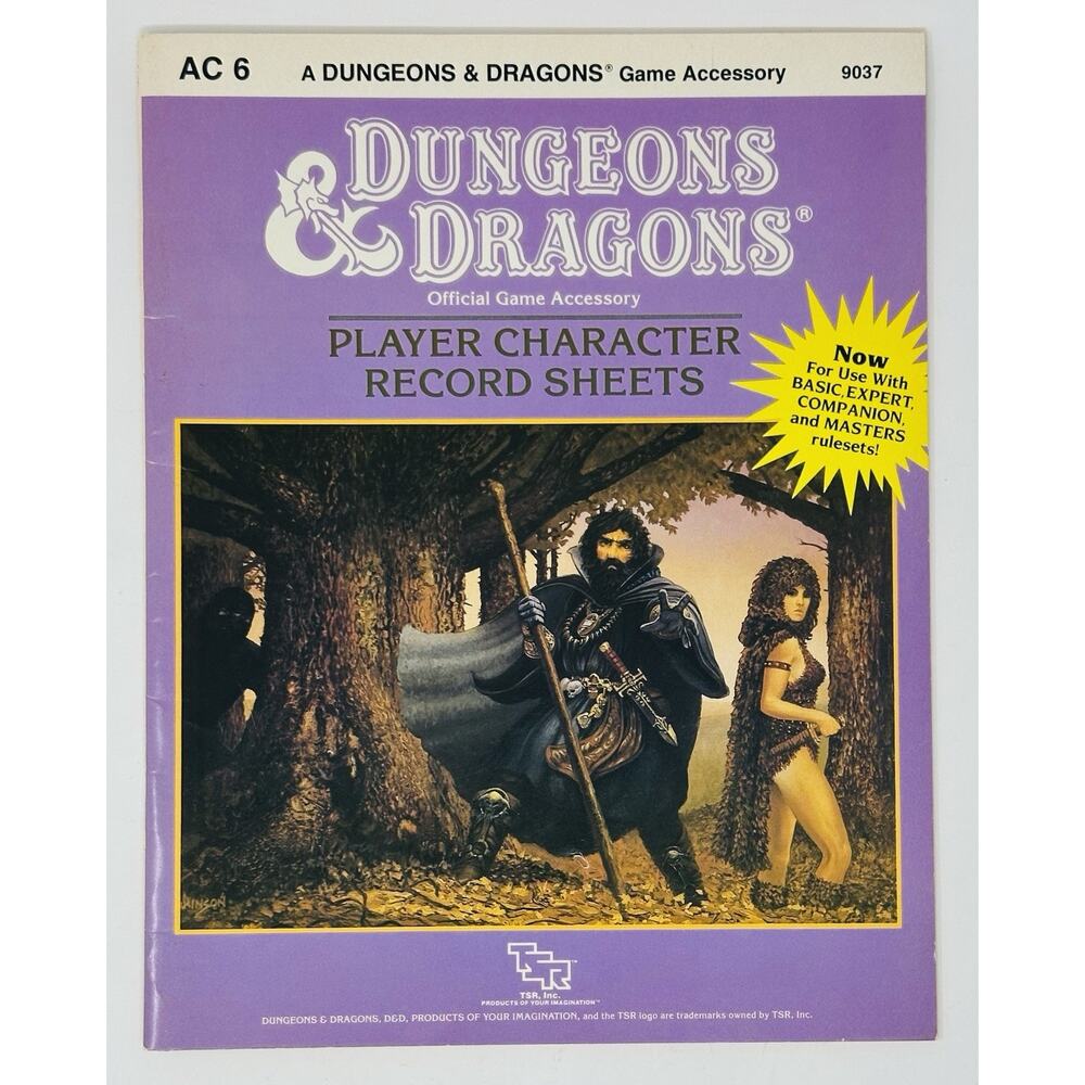 Dungeons & Dragons Player Character Record Sheets AC6 1985 TSR 9037 UNUSED VG